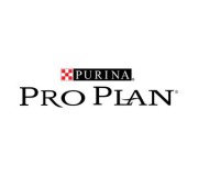 Pro Plan