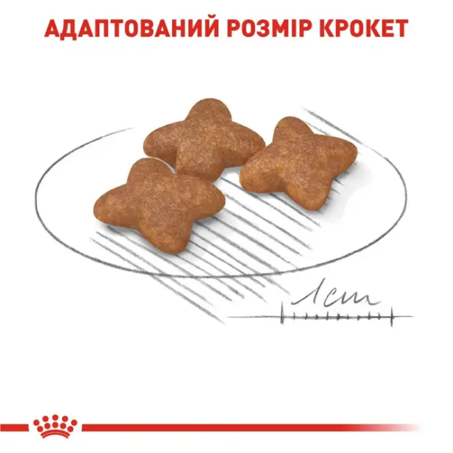 Royal Canin Mini Adult 800 г сухой корм для собак мелких размеров