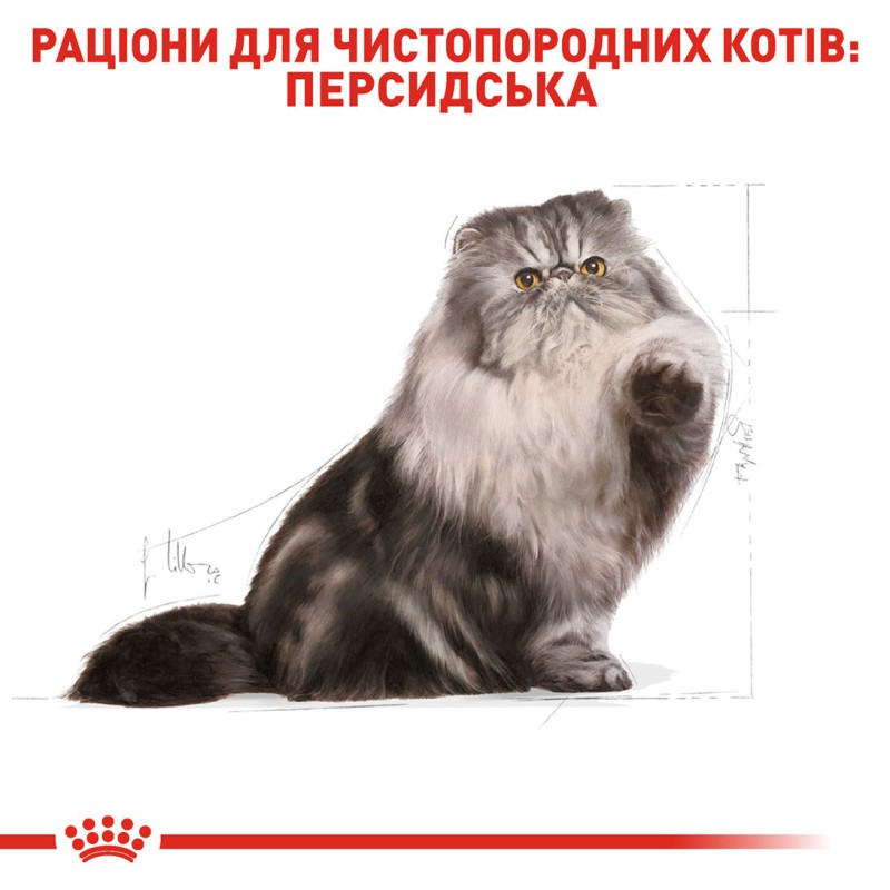 Royal Canin Persian Adult 4 кг сухий корм для дорослих перських кішок