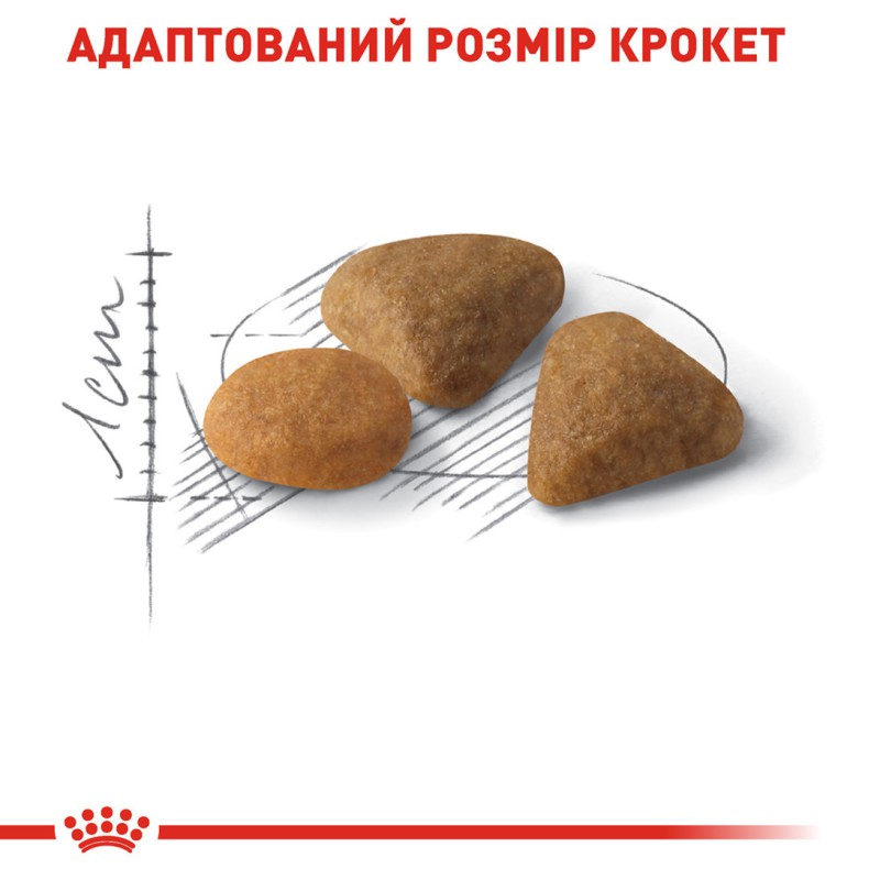 Royal Canin Exigent Aromatic Attraction 4 кг сухий корм для котів