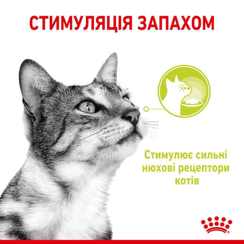 Royal Canin Sensory Smell in Gravy 12х85 г вологий корм для дорослих кішок