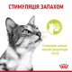 Royal Canin Sensory Smell in Gravy 12х85 г вологий корм для дорослих кішок