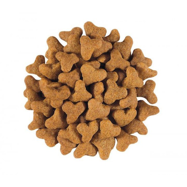 Royal Canin Gastrointestinal Fibre Response 2 кг сухий корм для котів при порушенні травлення