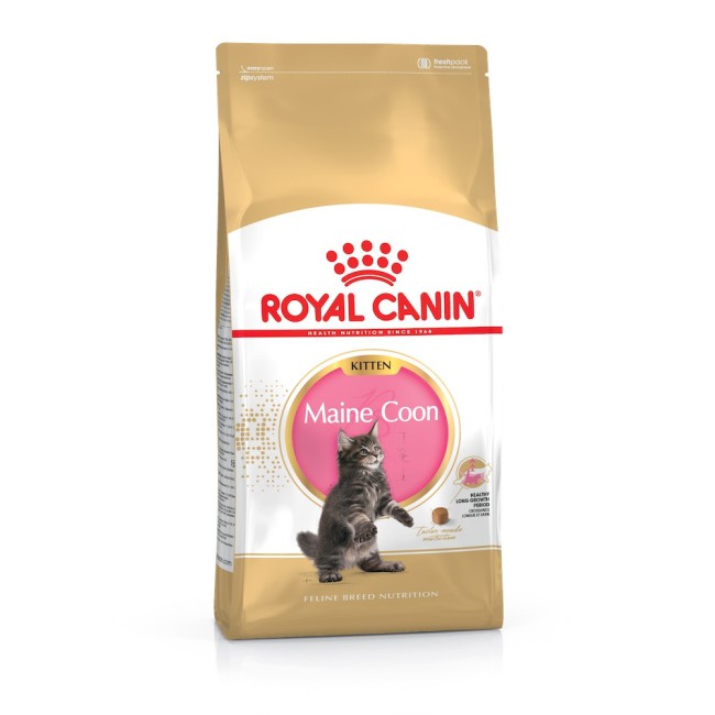 Royal Canin Maine Coon Kitten 4 кг сухий корм для кошенят породи мейн-кун