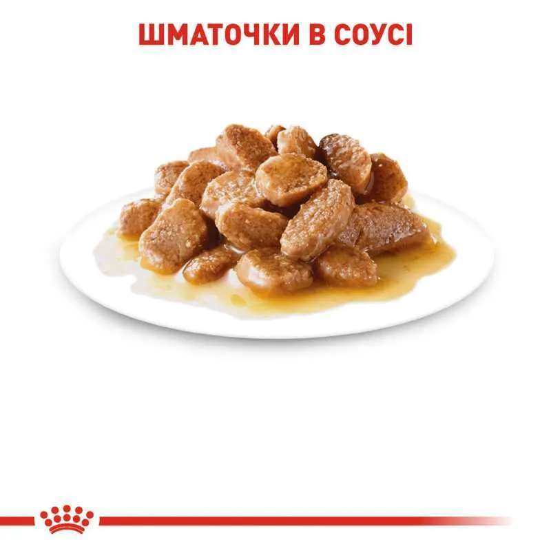 Royal Canin Xsmall Puppy 12х85 г вологий корм для цуценят дрібних порід у віці від 2 до 10 місяців у соусі