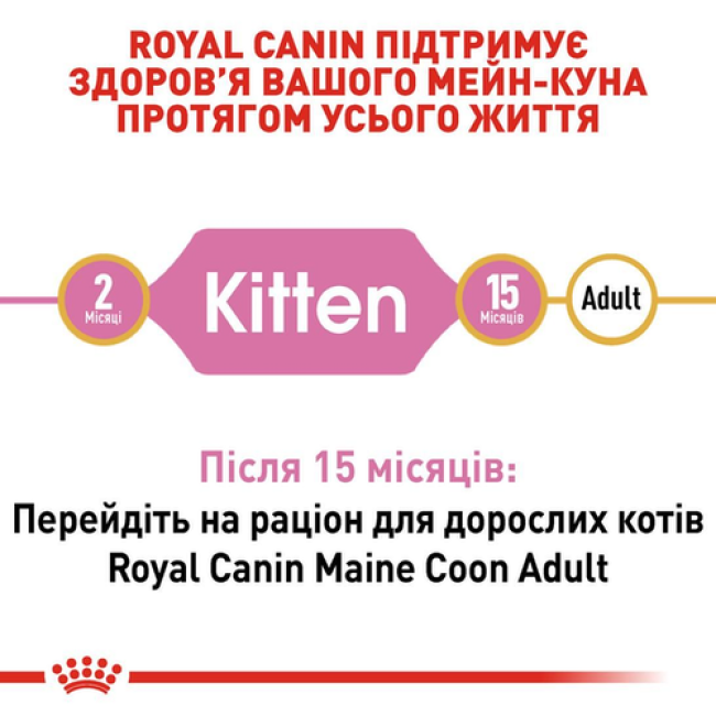 Royal Canin Maine Coon Kitten 400 г сухий корм для кошенят породи мейн-кун