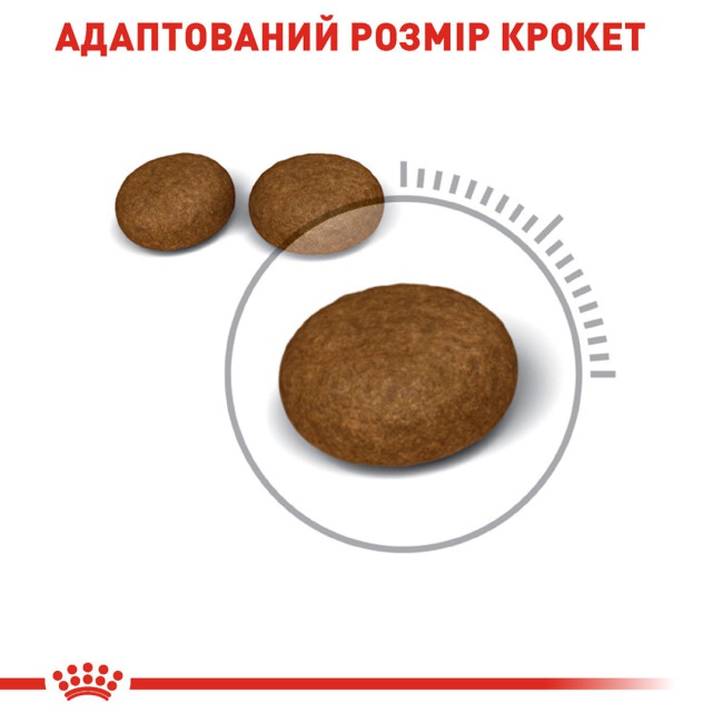 Royal Canin Hair and Skin Care 2 кг сухий корм для котів для здоров’я шкіри та шерсті