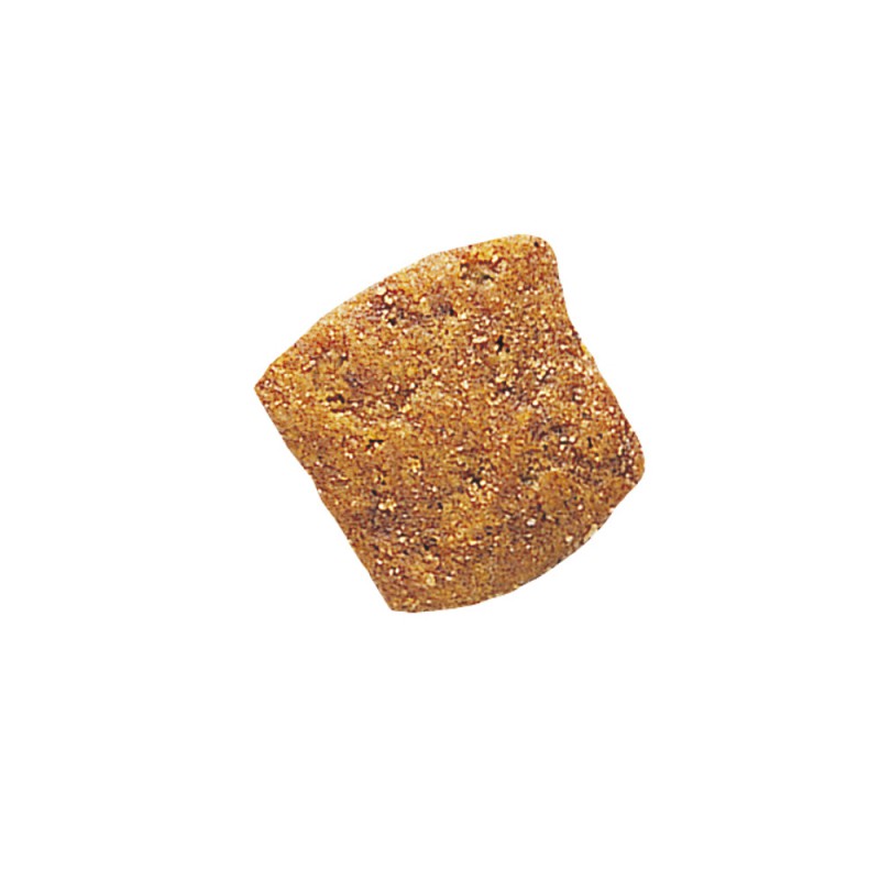 Royal Canin Diabetic 400 г сухий корм для кішок при діабеті