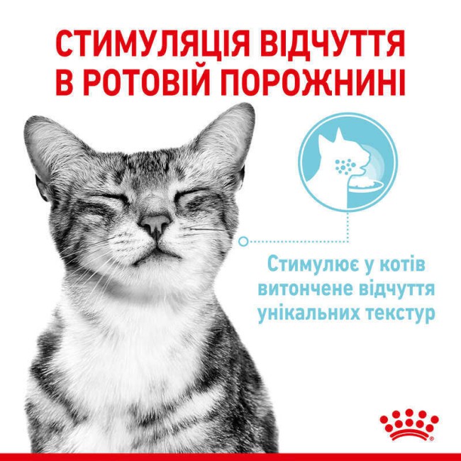 Royal Canin Sensory Feel in Jelly 12х85 г влажный корм в желе для кошек