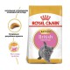 Royal Canin British Shorthair Kitten 4 кг сухий корм для британських короткошерстих кошенят