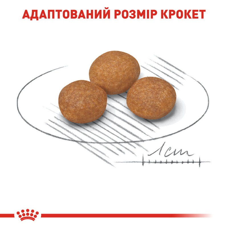 Royal Canin Xsmall Adult 8+ 3 кг сухой корм для собак миниатюрных пород в возрасте c 8-и лет