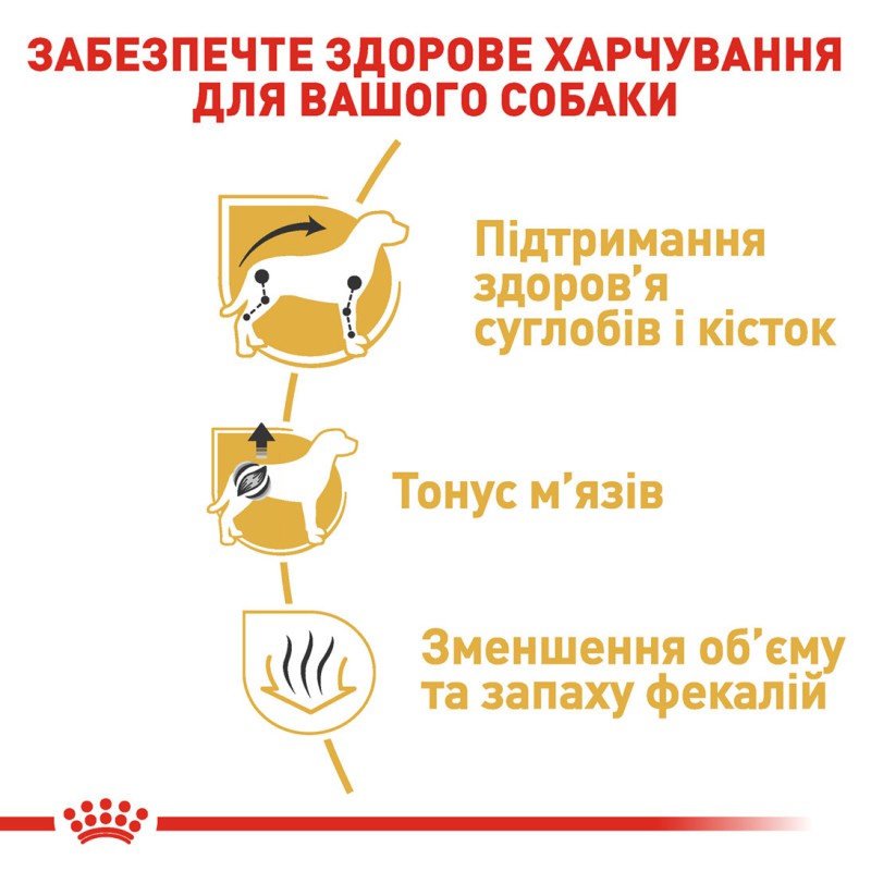 Royal Canin Dachshund Adult 1.5 кг сухий корм для собак породи такса