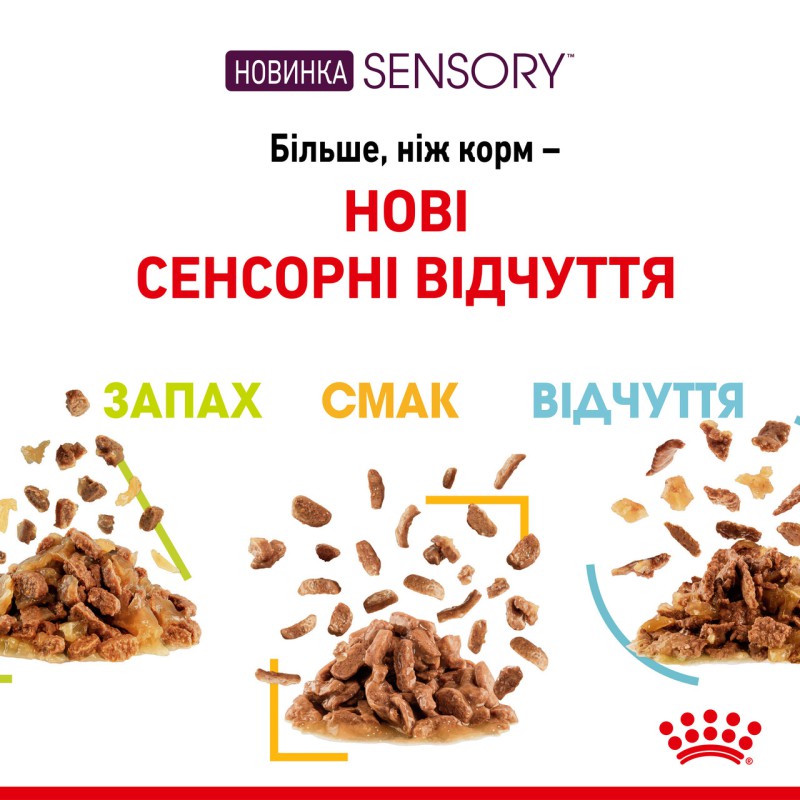 Royal Canin Sensory Smell in Gravy 12х85 г вологий корм для дорослих кішок