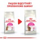 Royal Canin Protein Exigent 2 кг сухий корм для котів