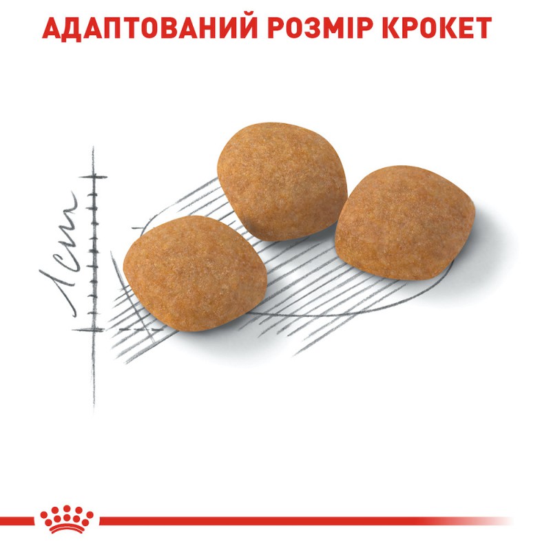 Royal Canin Protein Exigent 2 кг сухий корм для котів