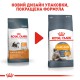 Royal Canin Hair and Skin Care 4 кг сухий корм для кішок для здоров'я шкіри та шерсті