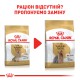 Royal Canin Yorkshire Terrier Ageing 8+ 1.5 кг сухий корм для собак йоркширського тер'єру віком від 8 років