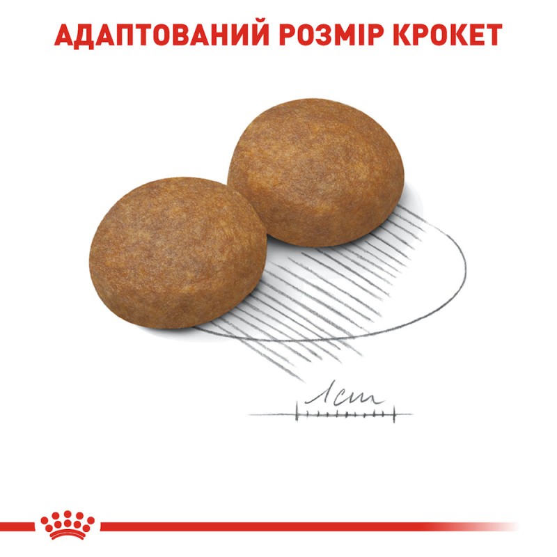 Royal Canin Maxi Adult 5+ - 15 кг сухий корм для собак великих порід старше 5 років 15 кг