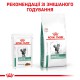 Royal Canin Diabetic Pouches 12х85 г вологий корм для котів при діабеті в соусі
