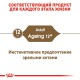 Royal Canin Ageing 12+ - 12х85 г для кішок старше 12 років