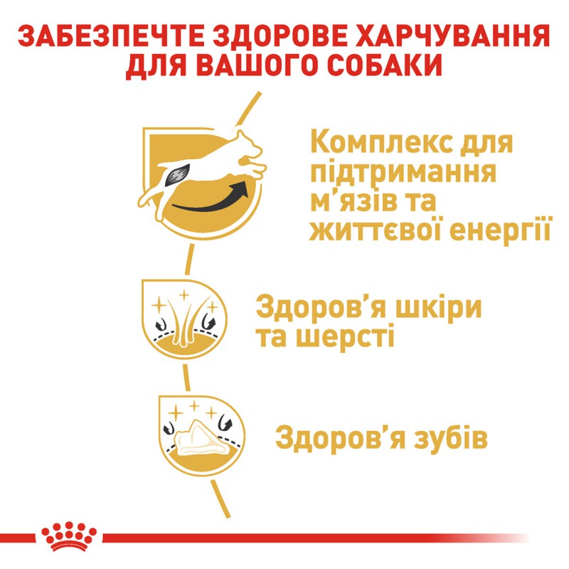 Royal Canin Jack Russell Adult 7.5 кг сухий корм для собак породи Джек Рассел Тер'єр