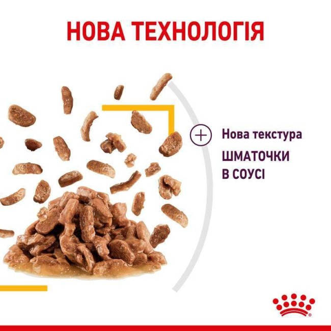 Royal Canin Sensory Taste in Jelly 12х85 г вологий корм для кішок в желе