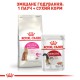 Royal Canin Protein Exigent 2 кг сухий корм для котів