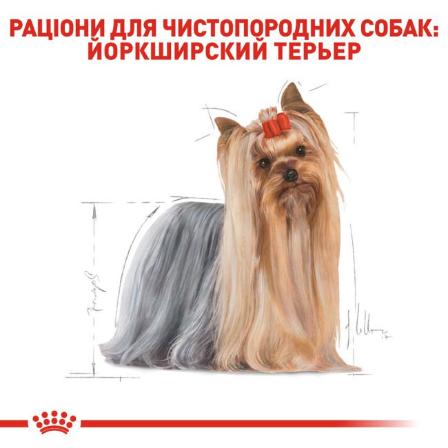 Royal Canin Yorkshire Terrier Adult 1.5 кг сухой корм для собак йоркширского терьера
