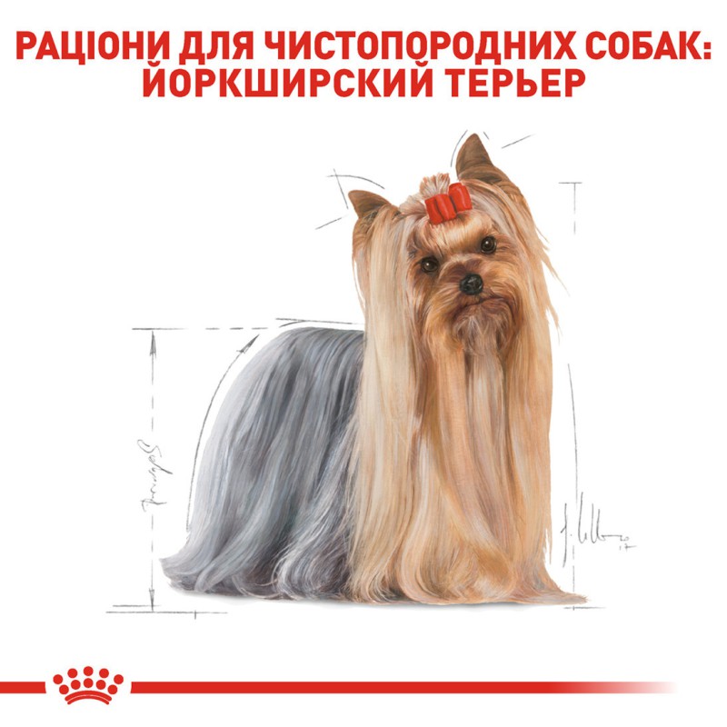Royal Canin Yorkshire Terrier Adult 1.5 кг сухий корм для собак йоркширського тер'єру