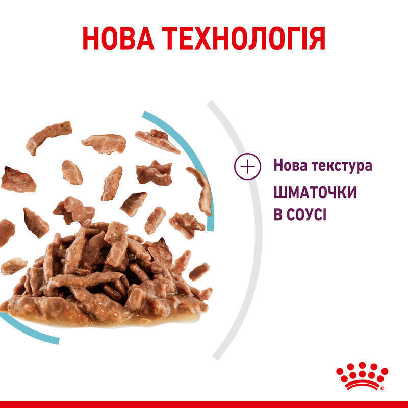 Royal Canin Sensory Feel in Gravy 12х85 г вологий корм у соусі для котів