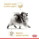 Royal Canin Pomeranian Loaf 12х85 г вологий корм для собак померанського шпіца