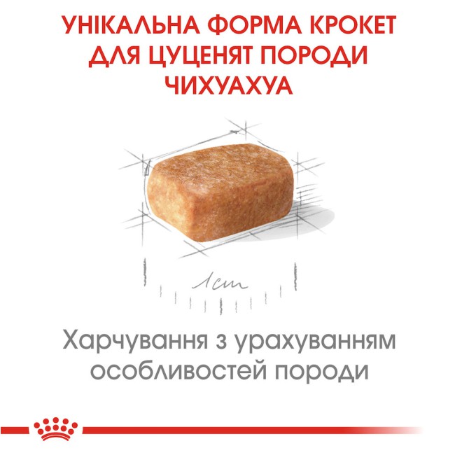Royal Canin Chihuahua Puppy 500 г сухий корм для цуценят породи чихуахуа