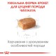 Royal Canin Chihuahua Puppy 500 г сухий корм для цуценят породи чихуахуа