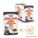 Royal Canin Hair & Skin Care in gravy 12х85 г влажный корм в соусе для кошек с чувствительной кожей или проблемной шерстью