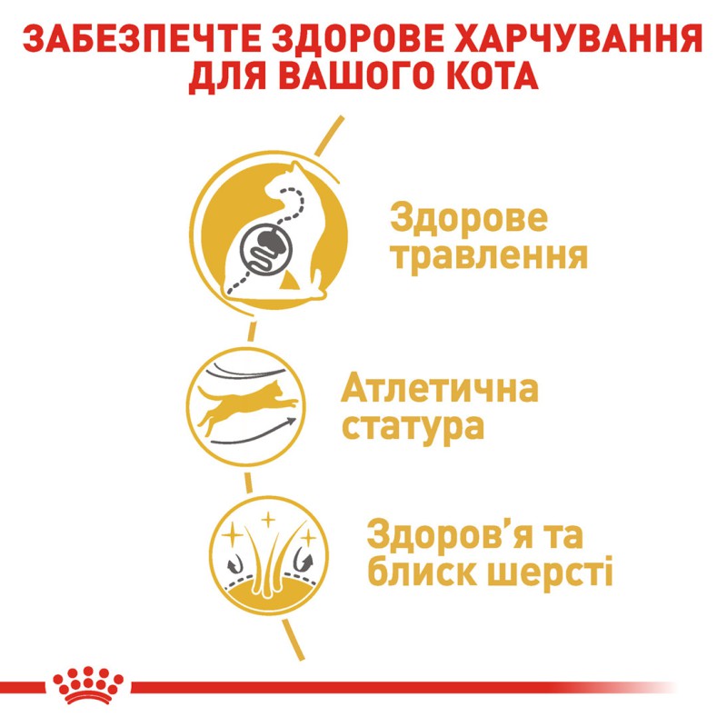 Royal Canin Bengal 2 кг сухий корм для кішок Бенгальської породи