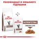 Royal Canin Gastrointestinal 400 г сухий корм для кішок при порушенні травлення
