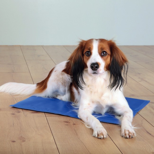 Килимок Trixie Cooling Mat охолоджуючий, блакитний, 40х30 см (28683)