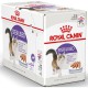 Royal Canin Sterilised Loaf 12х85 г вологий корм для стерилізованих кішок у паштеті