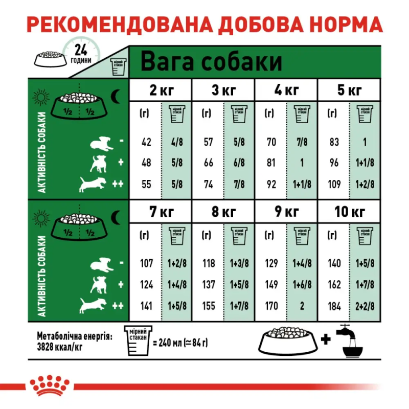 Royal Canin Mini Ageing 12+ 800 г сухий корм для собак дрібних порід від 12 років