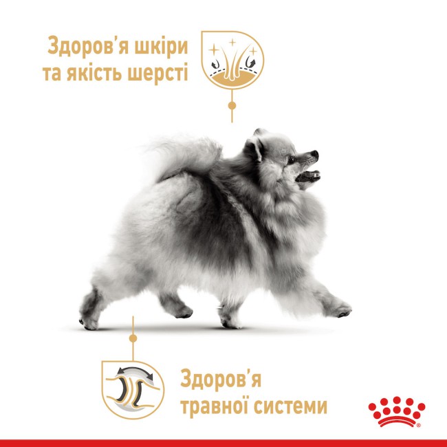 Royal Canin Pomeranian Adult 1.5 кг сухий корм для собак породи шпіц