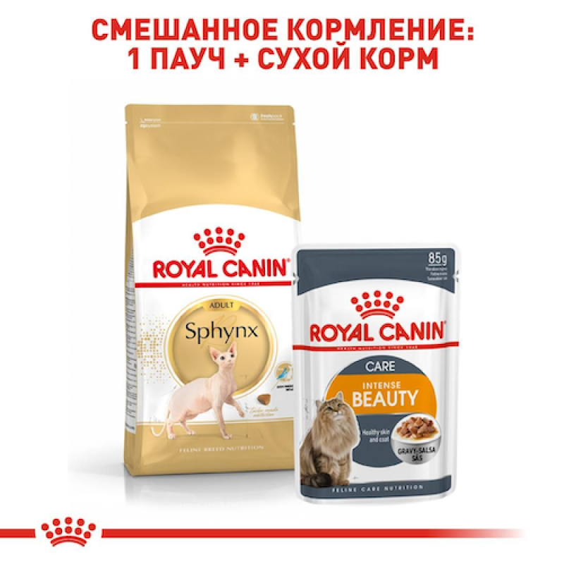 Royal Canin Sphynx 10 кг сухий корм для кішок породи сфінкс