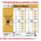 Royal Canin Pug 3 кг сухий корм для собак породи Мопс