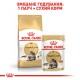 Royal Canin Maine Coon 2 кг сухий корм для кішок породи Мейн-кун