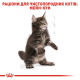 Royal Canin Maine Coon Kitten 400 г сухий корм для кошенят породи мейн-кун
