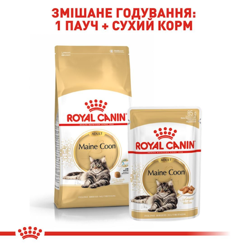Royal Canin Maine Coon 12х85 г вологий корм для кішок породи мейн-кун