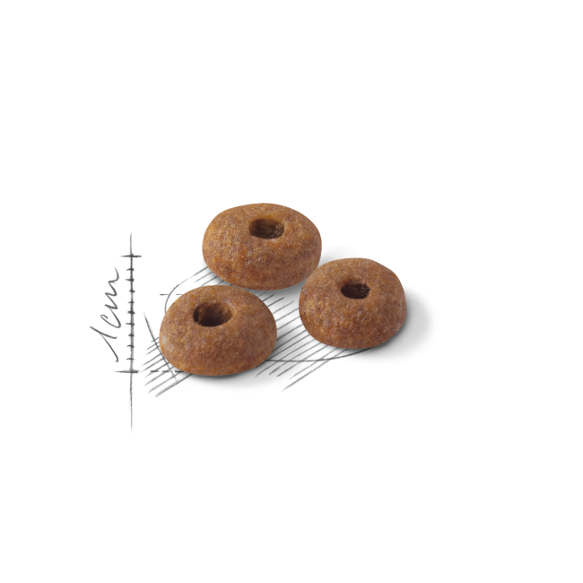 Royal Canin Fit 32 4 кг сухой корм для домашних и уличных котов