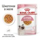 Royal Canin Kitten Instinctive Gravy 12х85 г вологий корм для кошенят у соусі