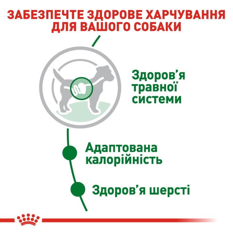 Royal Canin Mini Adult 12х85 г вологий корм для собак дрібних порід