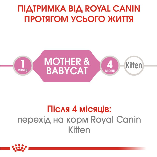 Royal Canin Babycat 2 кг сухий корм для котів і кошенят, що годують з 1-го до 4-х місяців