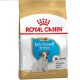 Royal Canin Jack Russell Terrier Puppy 1.5 кг сухий корм для цуценят породи Джек Рассел Тер'єр
